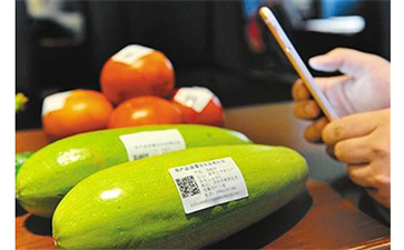 食品溯源系统