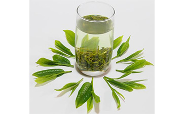 茶叶二维码防伪标签