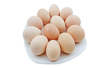 鸡蛋食品追溯系统