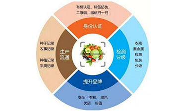 溯源系统